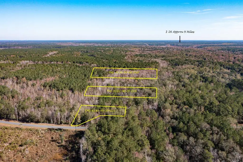 1 Dennis Britt Road, Saint George, SC 29477 - #1