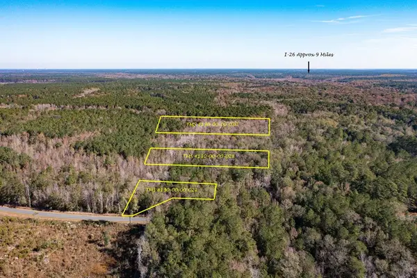 1 Dennis Britt Road, , SC 29477