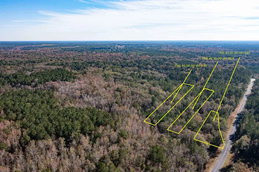 1 Dennis Britt Road, Saint George, SC 29477 - #2