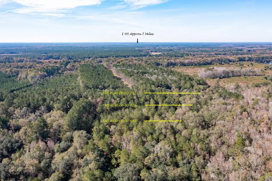 1 Dennis Britt Road, Saint George, SC 29477 - #3