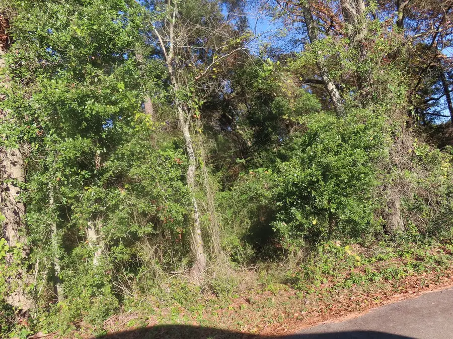 Lot 3 Graveyard Rock Road, Santee, SC 29142 - Image #2