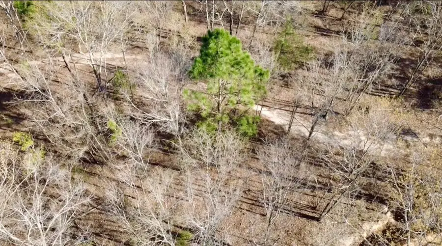 138 Riptide Road, North, SC 29112 - #2