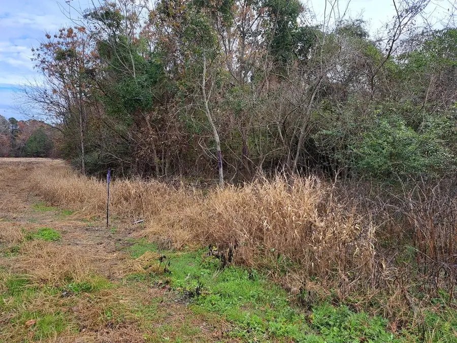 01 Muldoon, Summerton, SC 29148 - #2