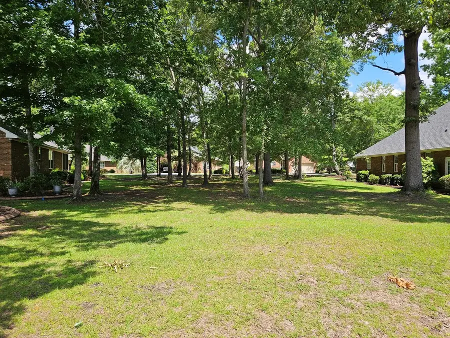 258 Ridge Lake Drive, Manning, SC 29102 - #3