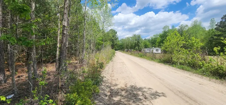 0 Lost Horn Road, Branchville, SC 29432 - #3