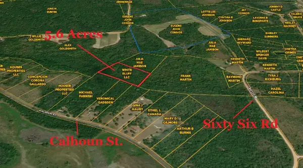 0 Calhoun Street, Branchville, SC 29432