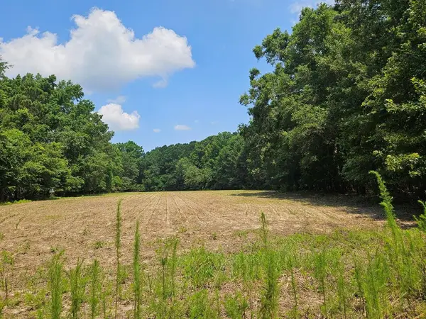 Lot 2a M W Rickenbaker Road, Summerton, SC 29148