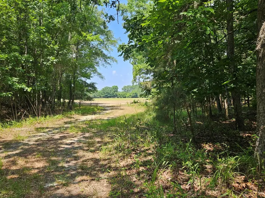 Lot 2a M W Rickenbaker Road, Summerton, SC 29148 - #2