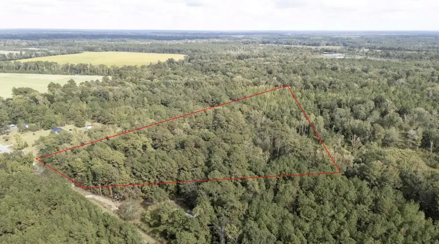 00 Eddie Woods Road, Greeleyville, SC 29056 - Image #3