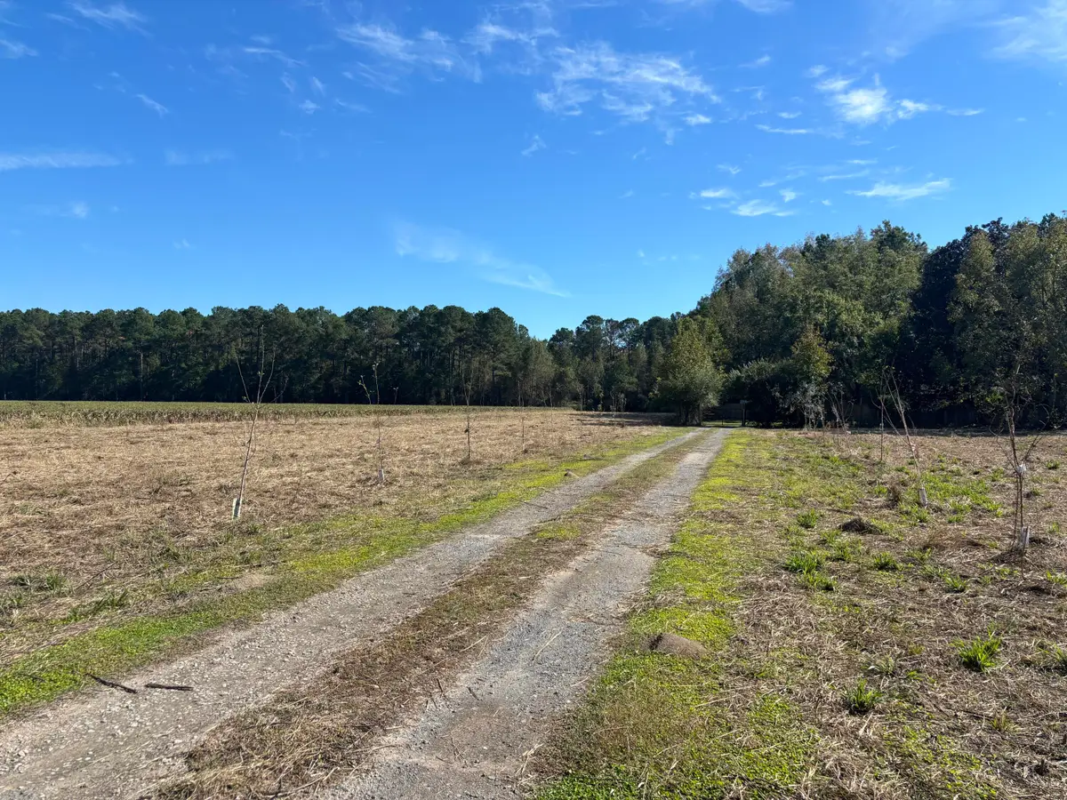 13964 Us-301, Gable, SC 29051 - Image #1