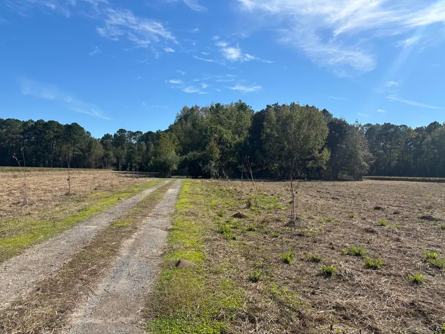 13964 Us-301, Gable, SC 29051 - Image #2