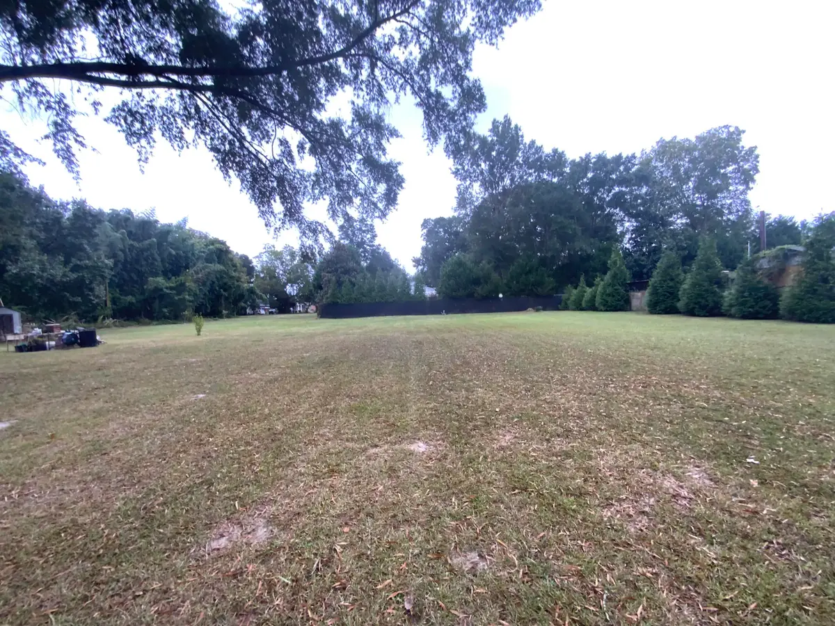 0 S Calhoun Street, Bishopville, SC 29010 - Image #1