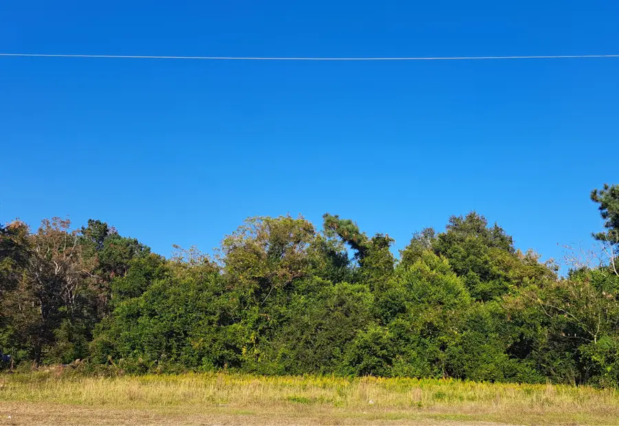 S-38-121 Hampton Street, Elloree, SC 29047 - Image #3