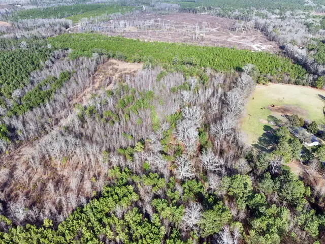 0 Rafting Creek Twns, Rembert, SC 29128 - Image #2