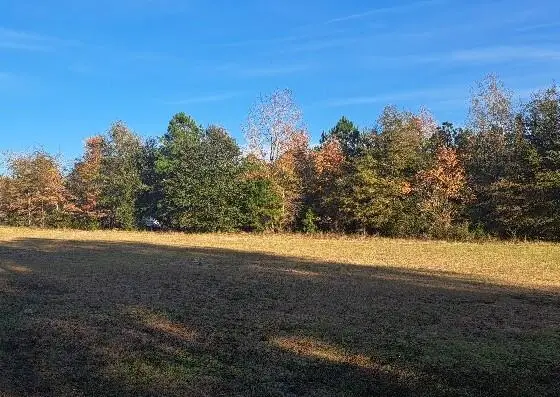 01 Joby Lane #4, Eutawville, SC 29048 - Image #3