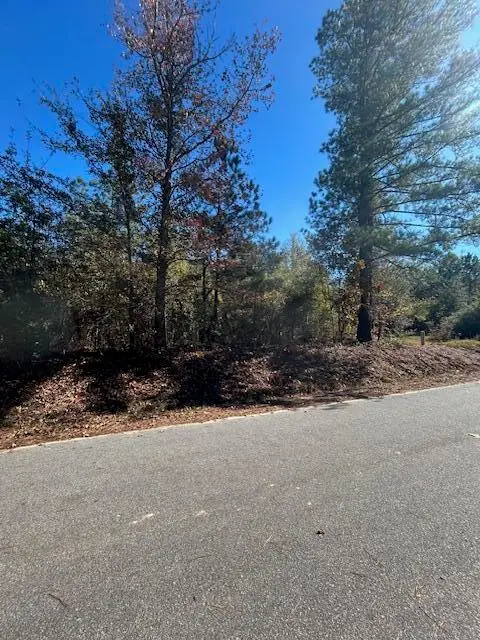 5485 Mayrant Road, Rembert, SC 29128 - Image #2