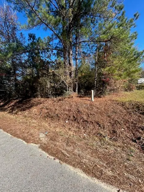 5485 Mayrant Road, Rembert, SC 29128 - Image #3