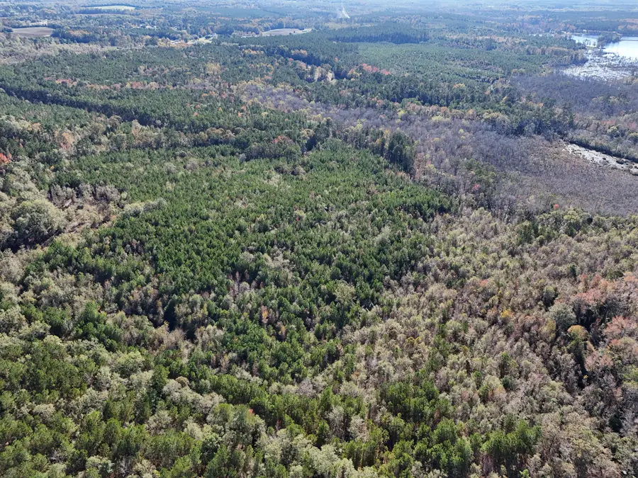 0 Mayrant Rd, Rembert, SC 29128 - Image #2