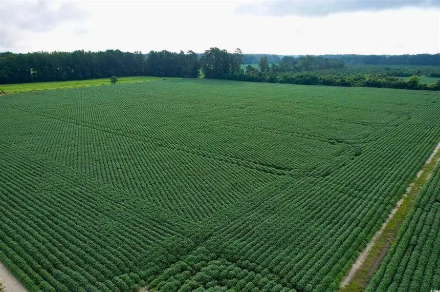 1335 Norwood Rd, Olanta, SC 29114 - Image #2