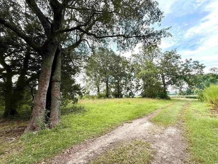 1335 Norwood Rd, Olanta, SC 29114 - Image #3