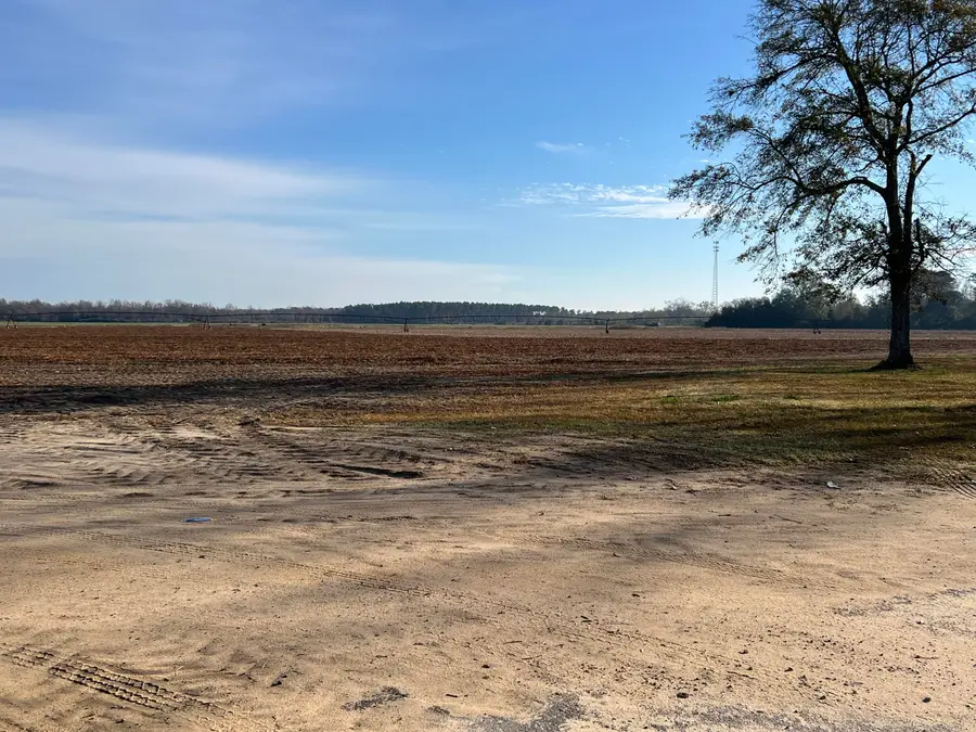 00 Old Hwy 6, Elloree, SC 29047 - Image #3