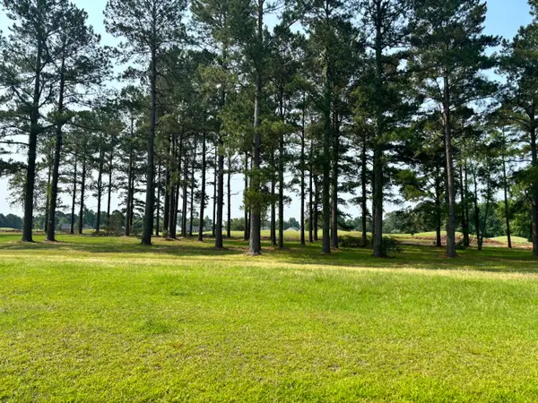 421 Pinelake Court, Manning, SC 29102