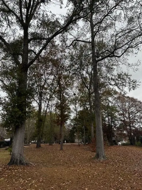 254 Ridge Lake Drive, Manning, SC 29102