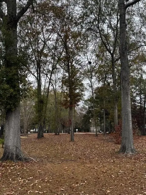 254 Ridge Lake Drive, Manning, SC 29102 - Image #2