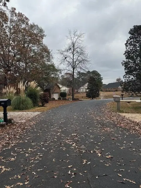 254 Ridge Lake Drive, Manning, SC 29102 - Image #3