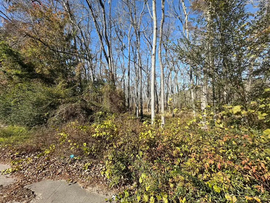 00 Five Chop Road, Elloree, SC 29047 - #2