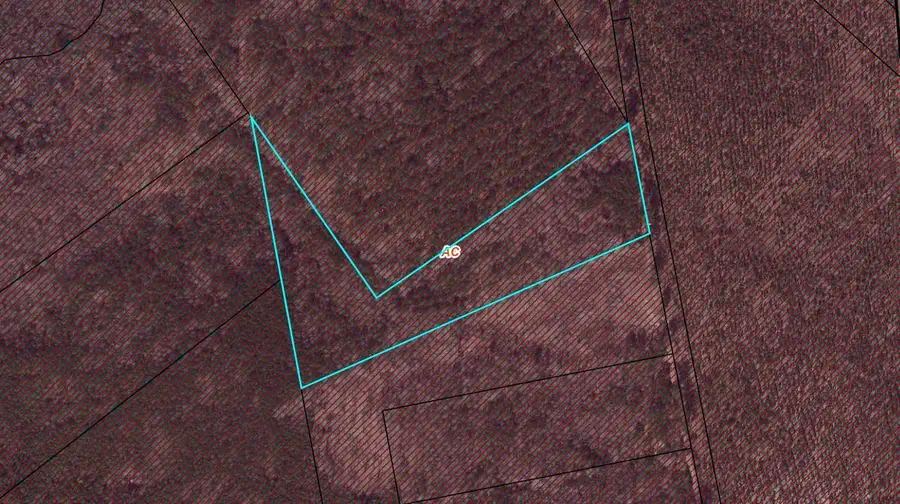 0 Rafting Creek Township, Rembert, SC 29128 - Image #3