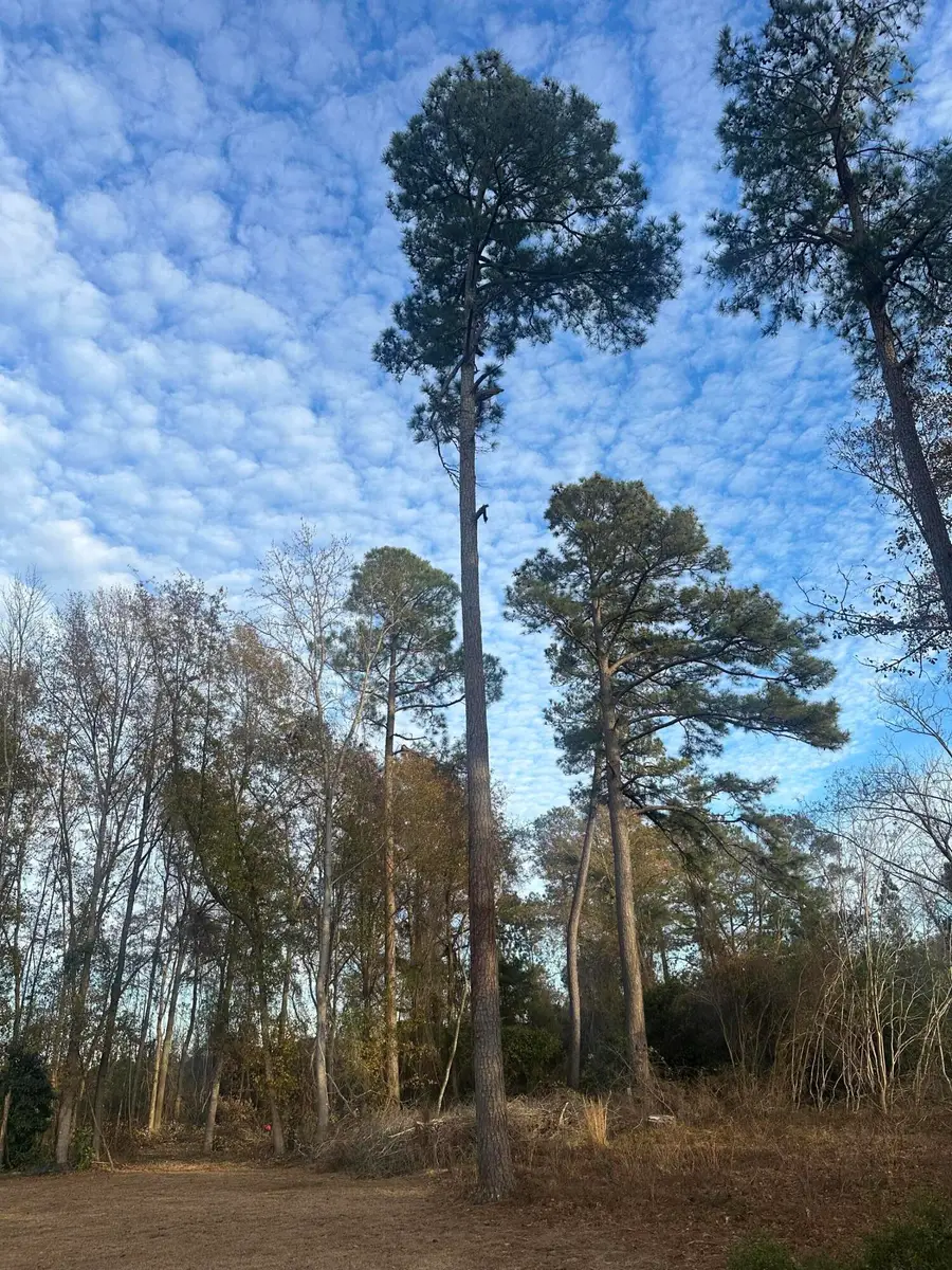 7 Pembroke Court, Sumter, SC 29153 - Image #2