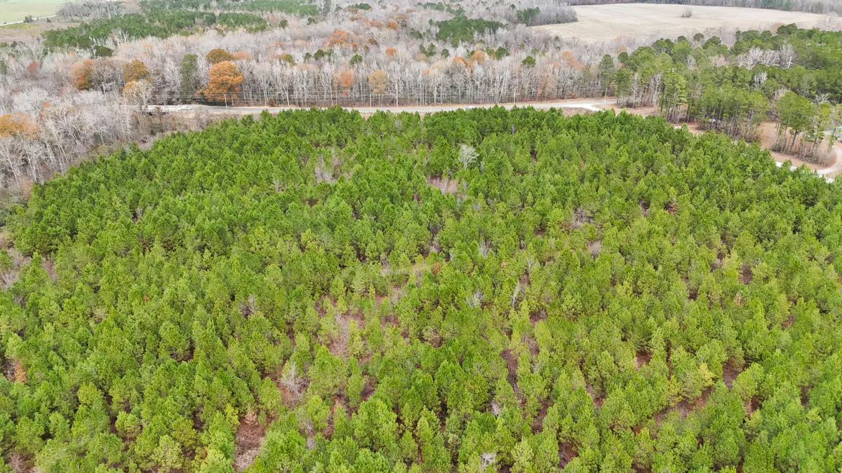 Tbd Bill Davis Road, Summerton, SC 29148 - Image #1