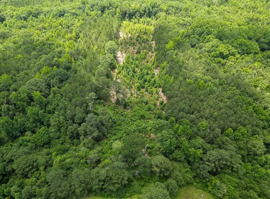 0 Kirkland Road, Rembert, SC 29128 - Image #2