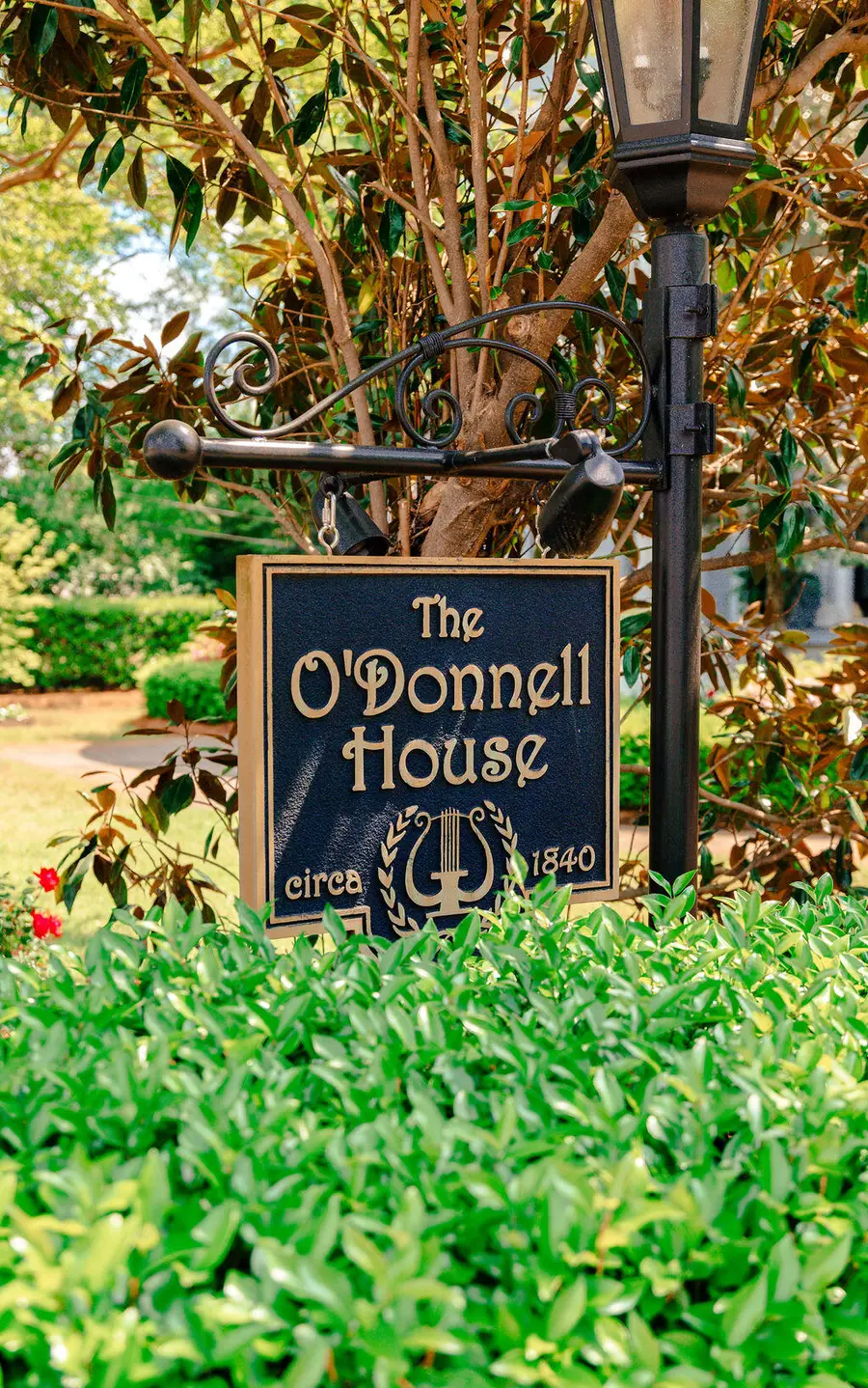 120 E Liberty Street, Sumter, SC 29150 - Image #3