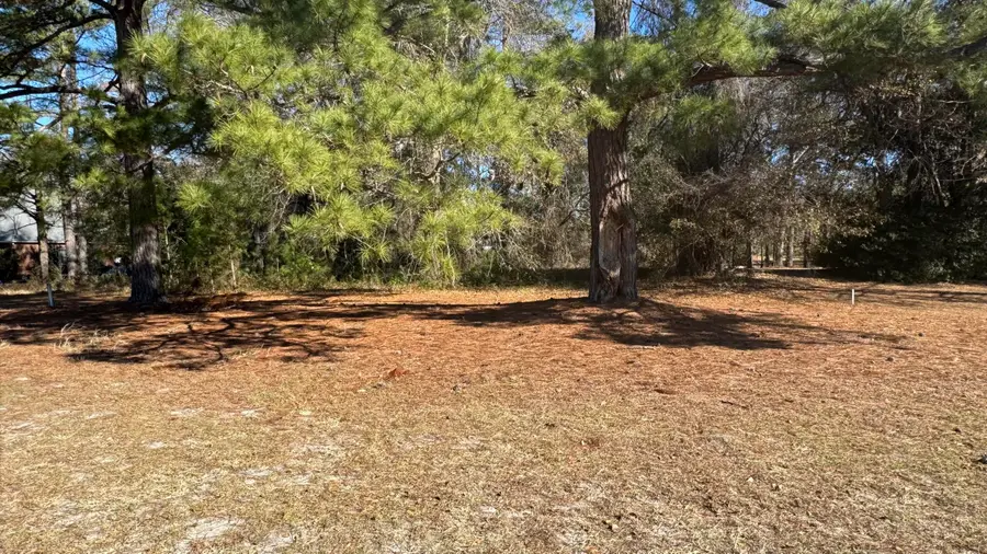 Tbd Bloomville Road, Manning, SC 29102 - #2