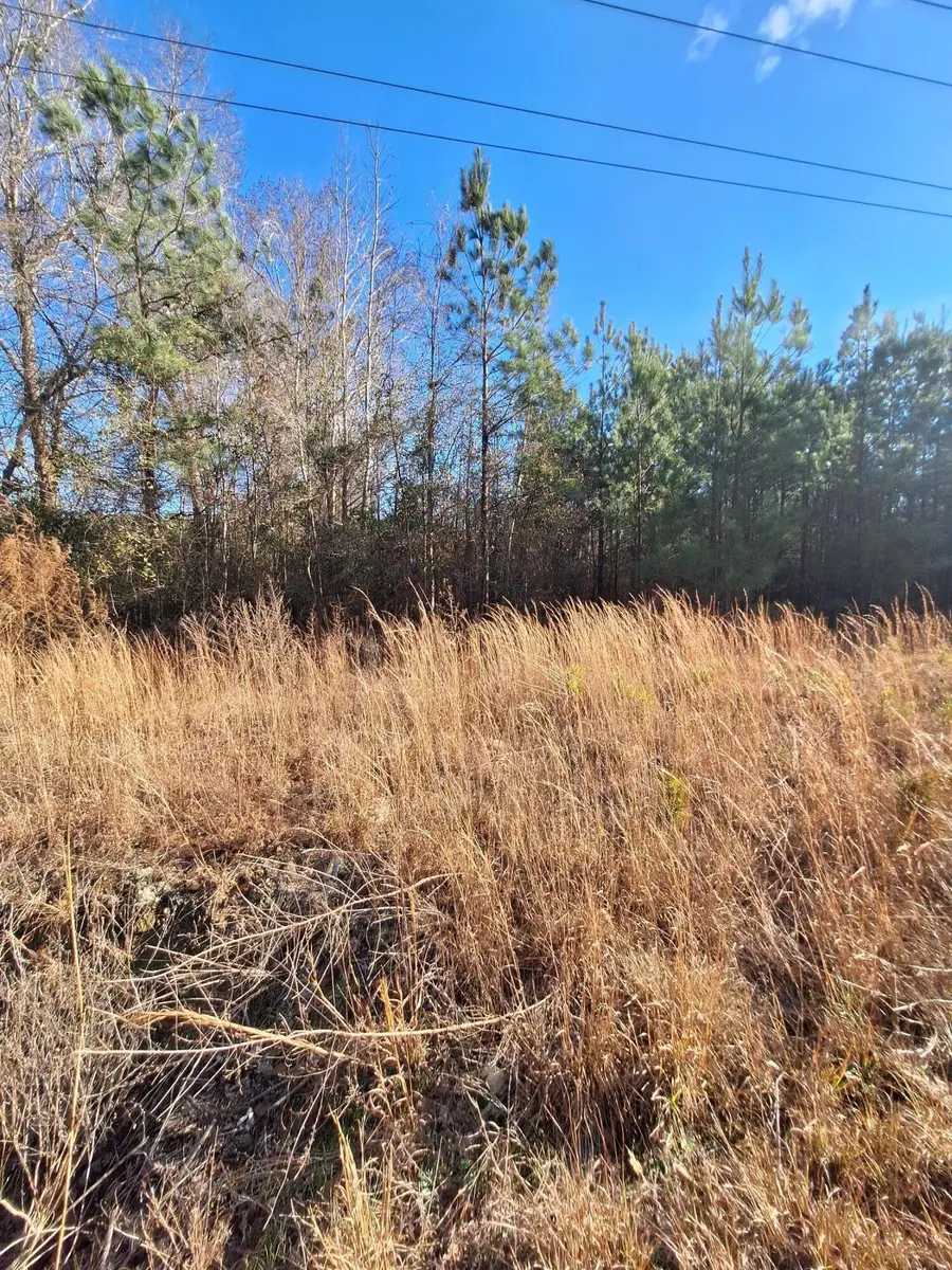 5640 Dinkins Mill Road, Rembert, SC 29128 - Image #3