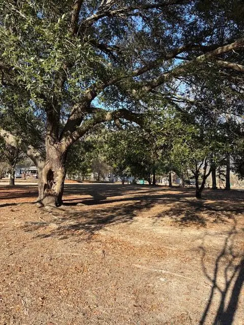 2358 Churchill Drive, Sumter, SC 29153 - Image #3