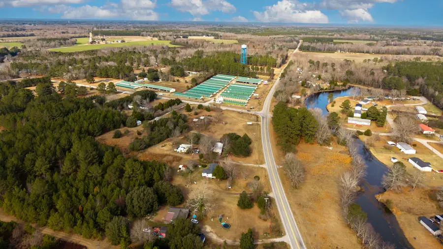 7878 Raccoon Road, Manning, SC 29102 - #2