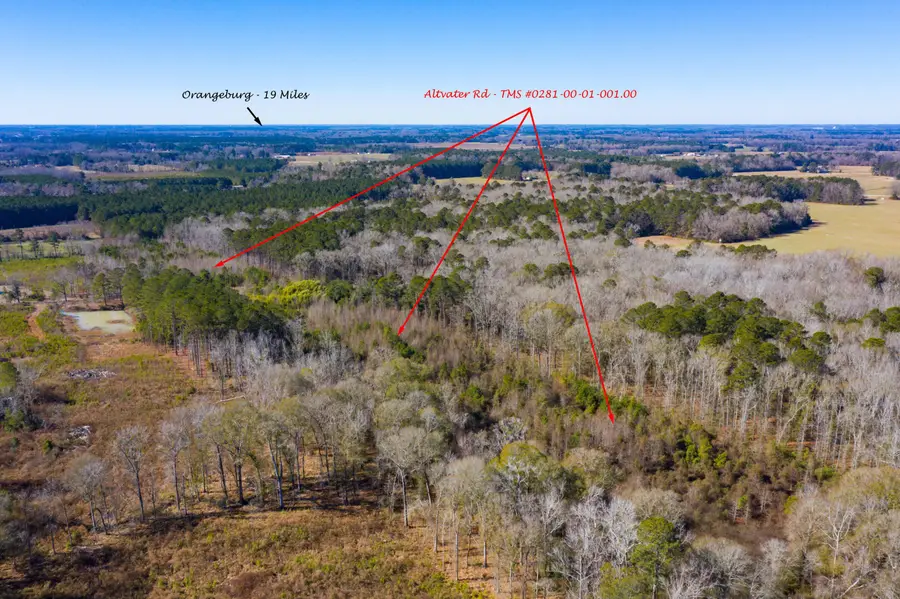 0 Altvater Road, Elloree, SC 29047 - Image #3