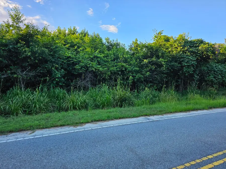 00 Borden Road #2, Rembert, SC 29128 - #2