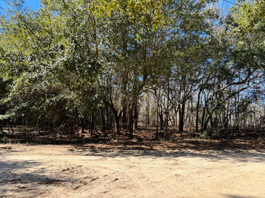 0 Ripley Court, Elloree, SC 29047 - #2