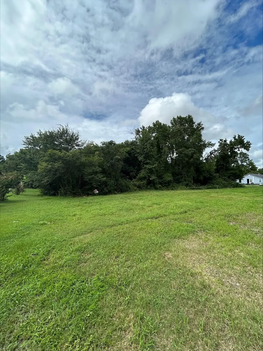 0 Hall St Extension, Summerton, SC 29148 - #2