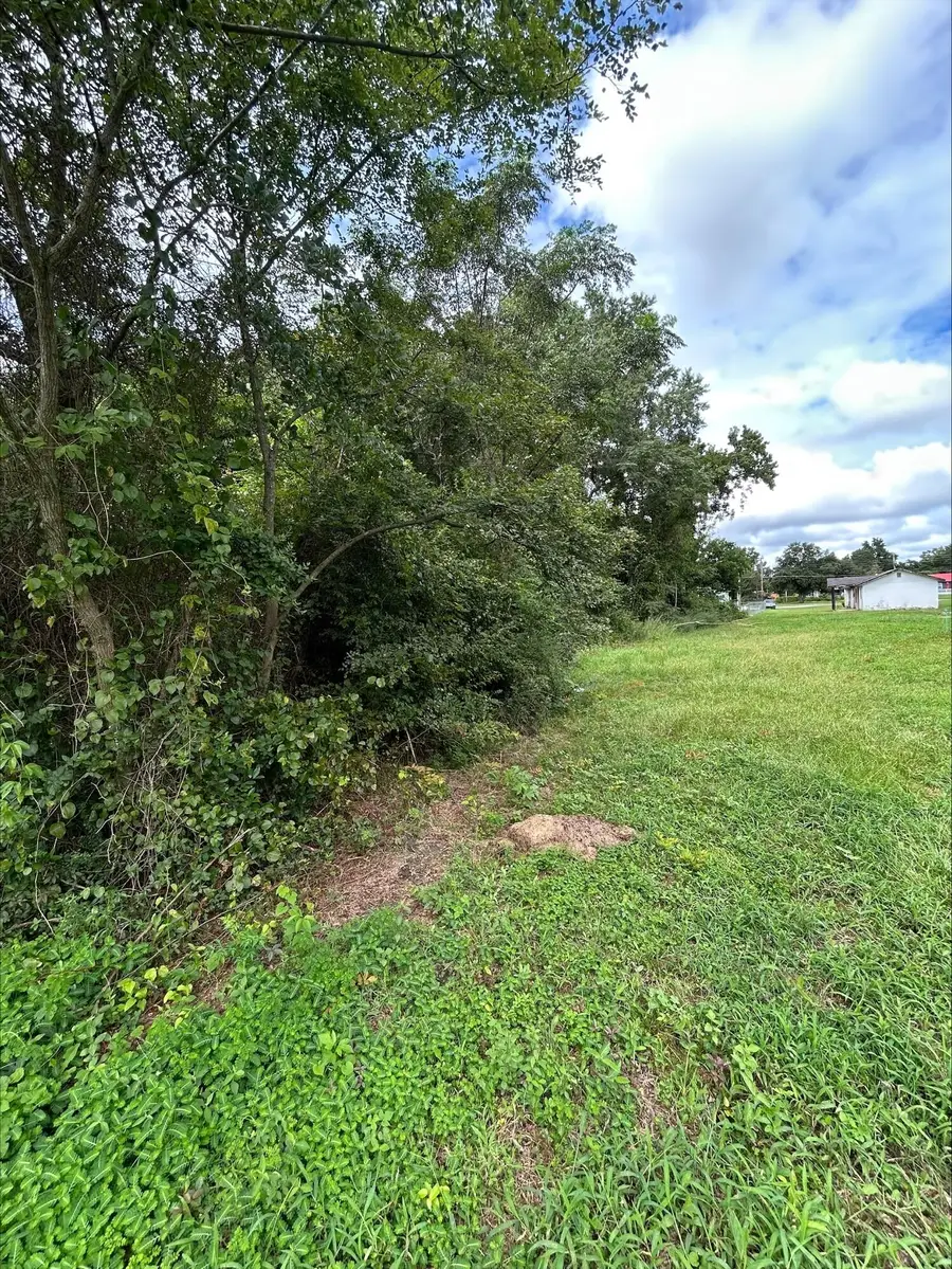 0 Hall St Extension, Summerton, SC 29148 - #3