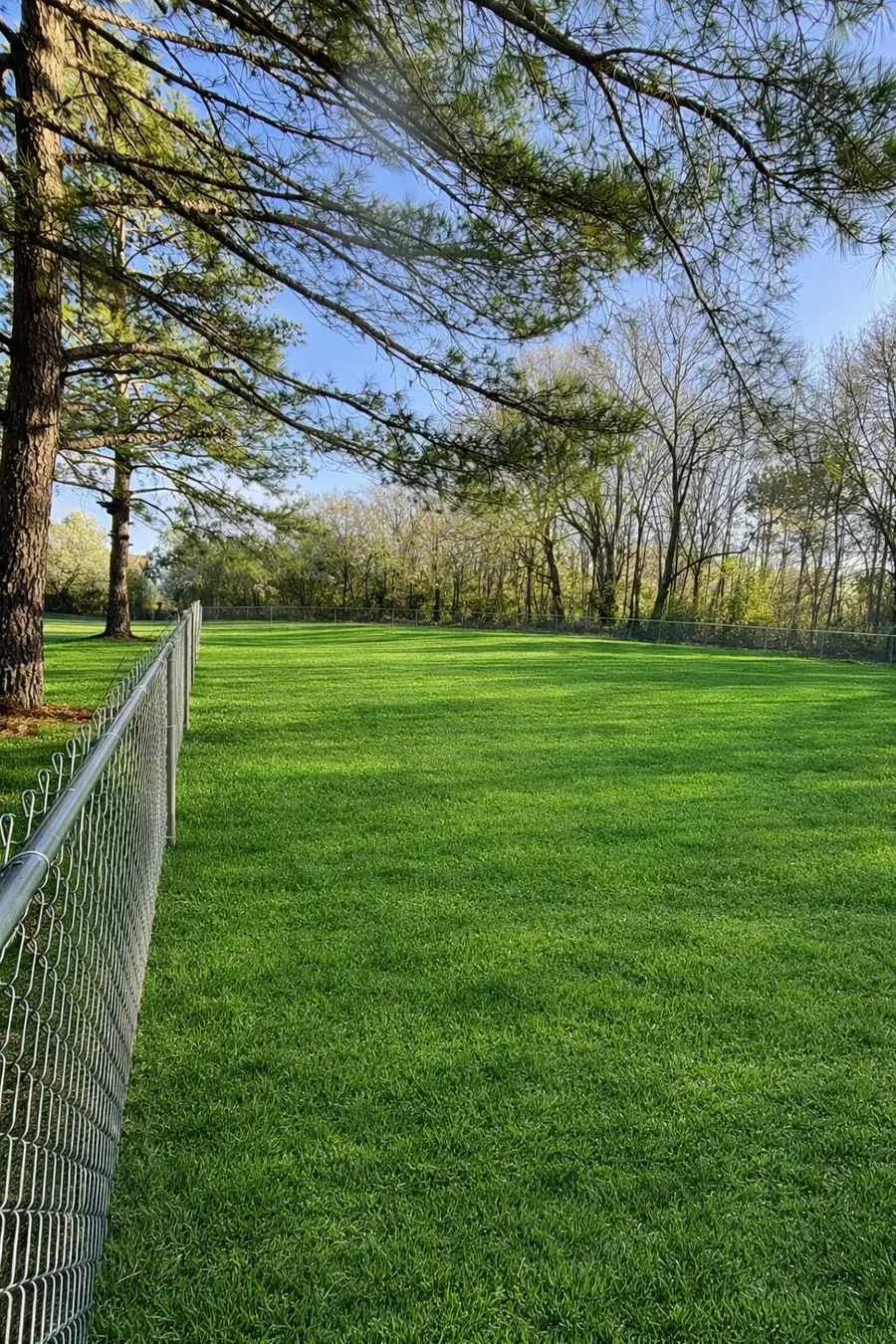 1557 W Market Extension, Cheraw, SC 29520 - #3