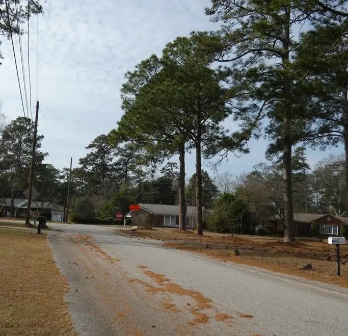 714 W Hampton Avenue, Sumter, SC 29150 - #1