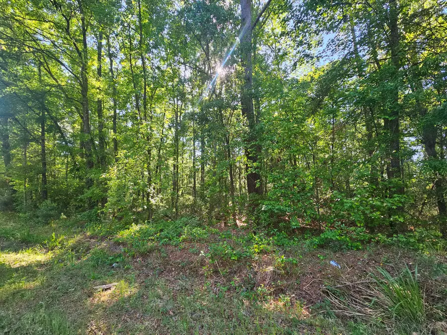 0 Two Church Road, Bowman, SC 29018 - #2