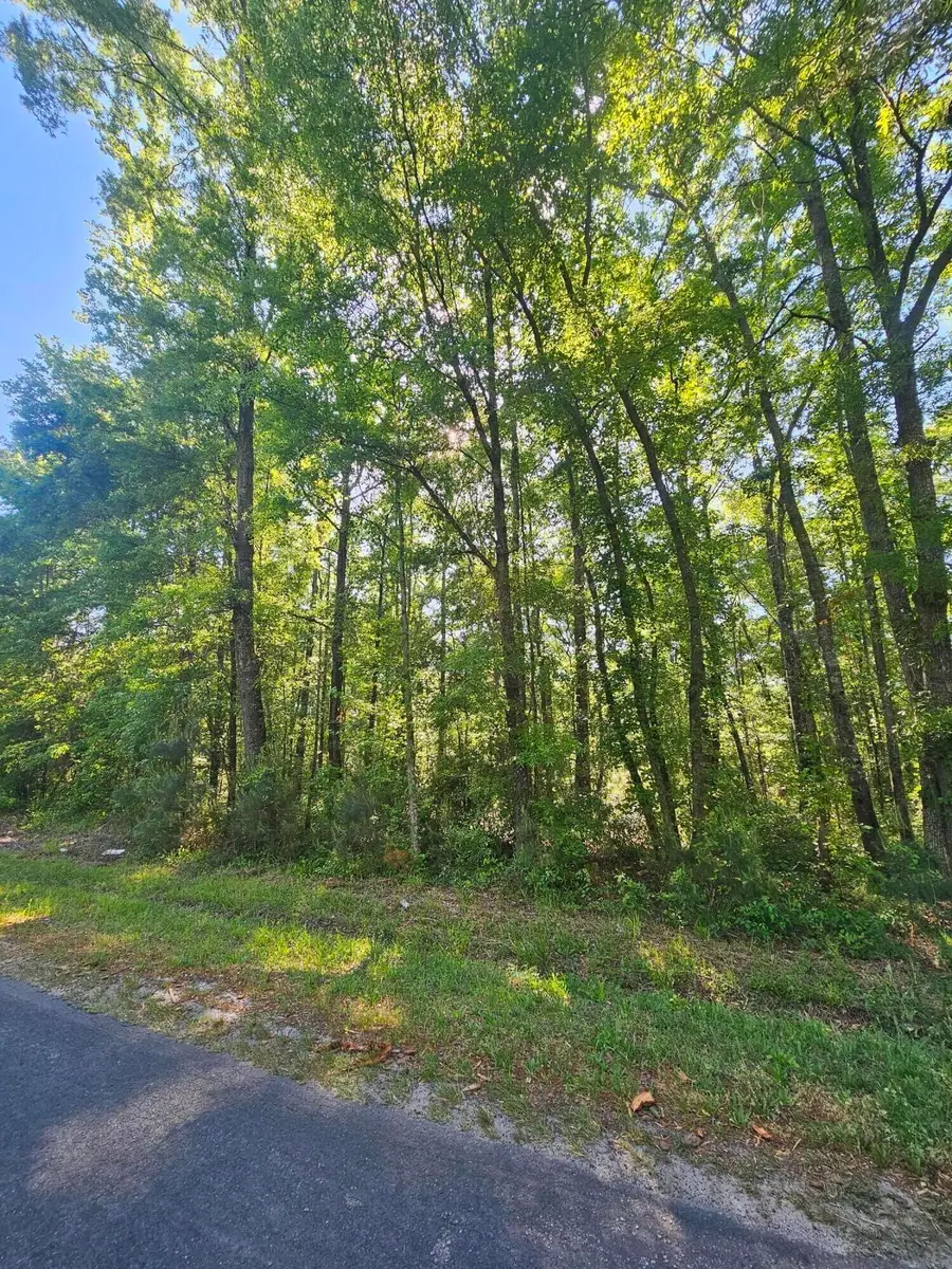 0 Two Church Road, Bowman, SC 29018 - #3