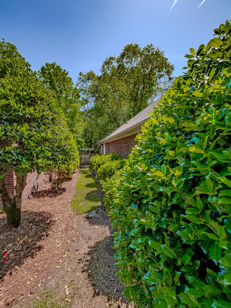 1265 Cutleaf Drive, Sumter, SC 29150 - #3