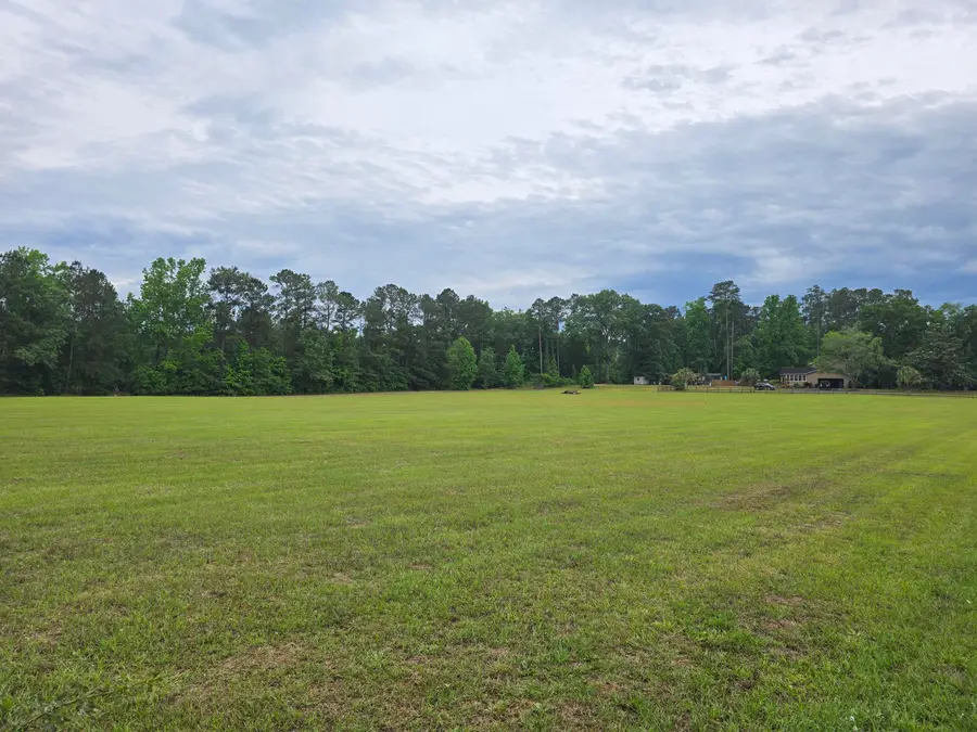 128 S Deerfield Road, Johnsonville, SC 29555 - #3